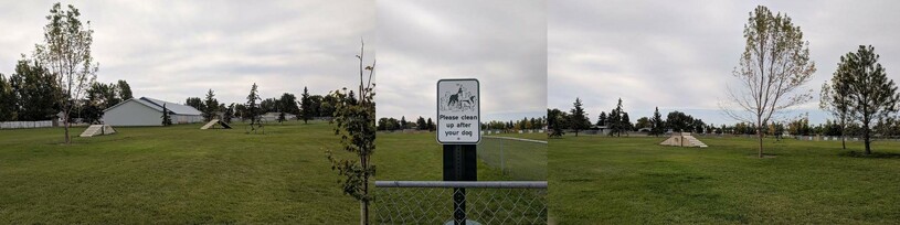3 side-by-side pictures of a dog park
