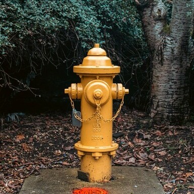 Public Safety